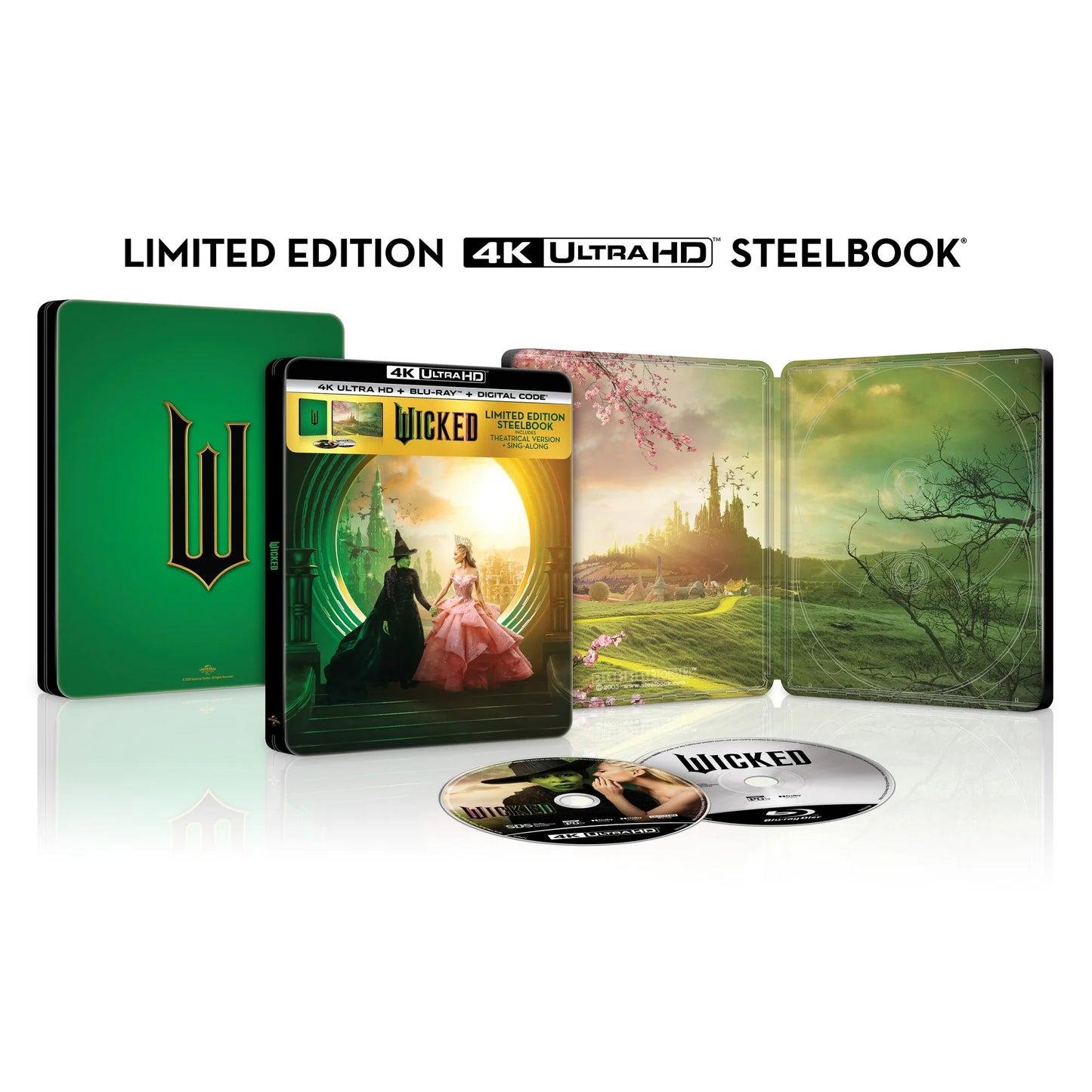 Wicked (Walmart Exclusive) Steelbook (4K Ultra HD + Blu-ray + Digital)